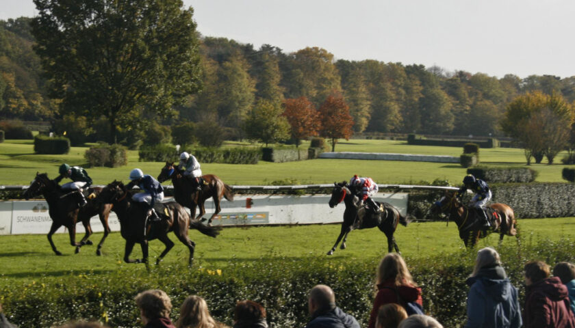 une course hyppique
