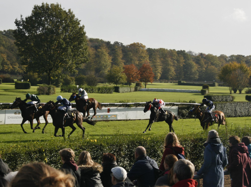 une course hyppique