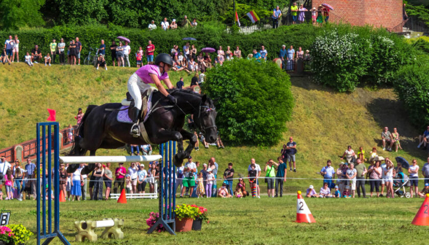 course hippique